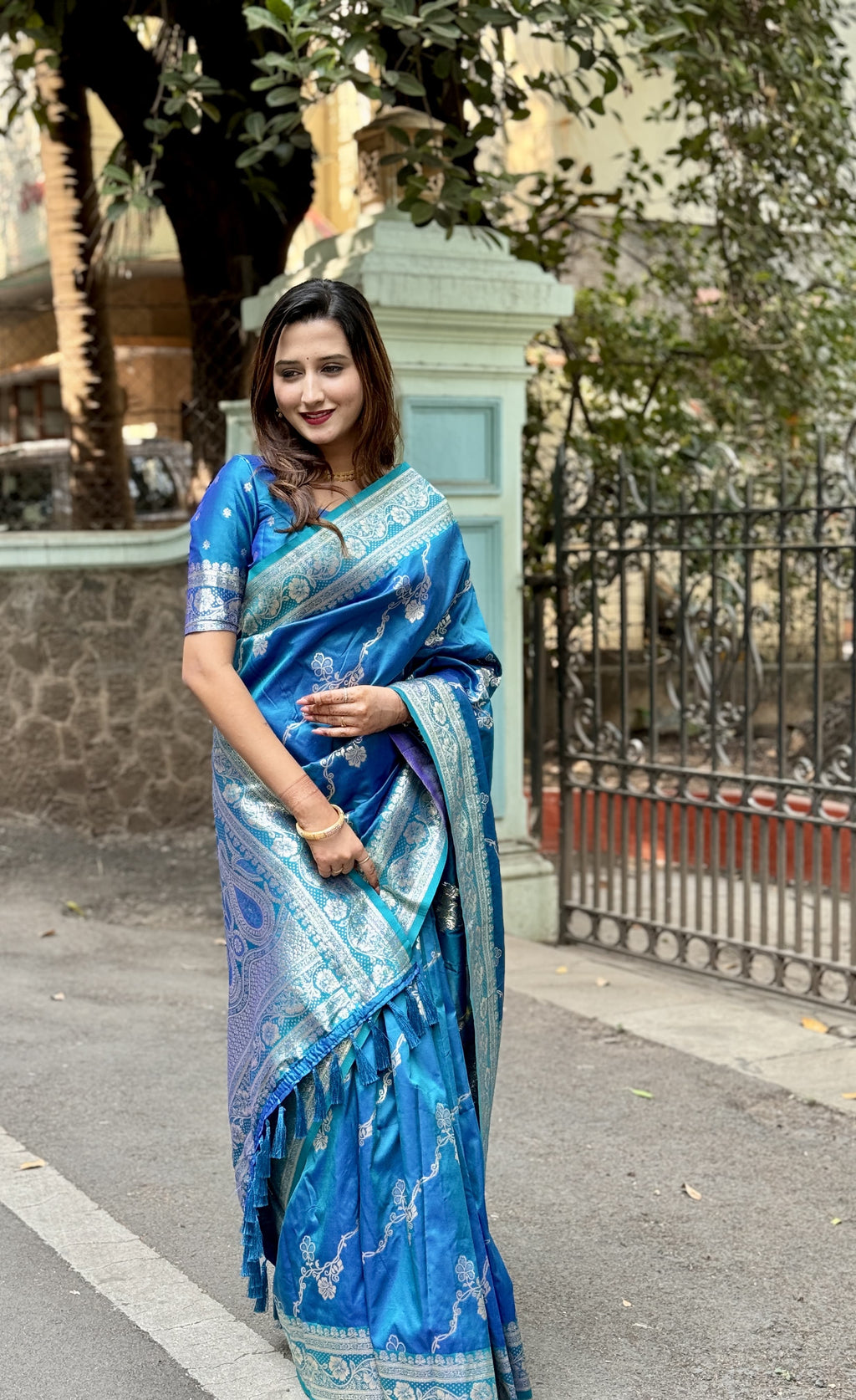 Banarasi Soft Silk Saree with Intricate Silver Zari Jaal & Regal Pallu