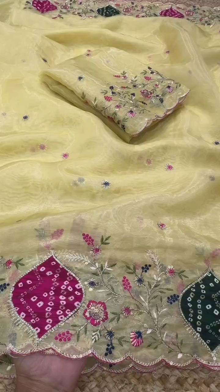 Mayra Crystal Tissue Saree with Zari Embroidery & Hand Applique Bandhej Border | Designer Pastel Saree with Blouse